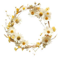 Obraz premium PNG Real pressed daisy flowers wreath plant celebration decoration.