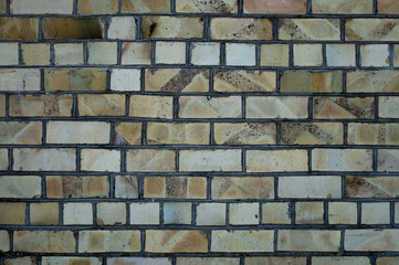 The photo shows a close-up of a brick wall