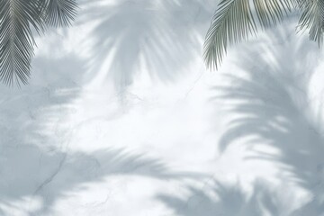 Palm leaf shadows on white marble background.
