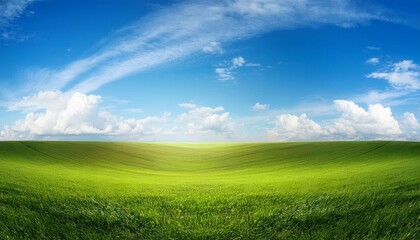 Fototapeta premium sky and green field background panorama