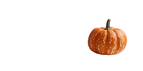 Fresh Orange Pumpkin on Transparent Background