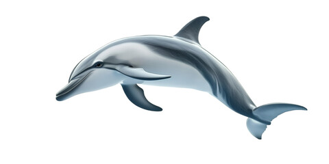 Fototapeta premium Dolphin on Transparent Background
