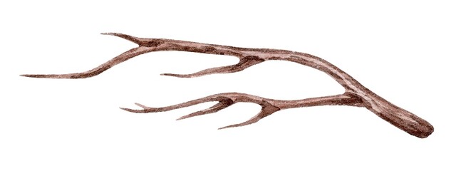 Handcrafted brown tree branch illustration with delicate details and natural textures. Elegant, earthy tones create a calming, organic design perfect for nature-inspired themes.