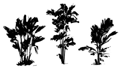 Black and white tropical plants. Vector
