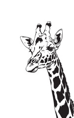 Simple giraffe silhouette vector illustration