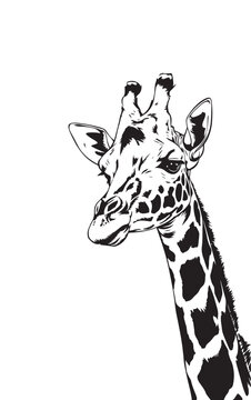 Simple giraffe silhouette vector illustration