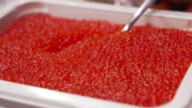 Red Caviar is being Taken by a spoon in Supermarket. Close-up of salmon fish roe caviar. Delicatessen Texture. Seafood. 