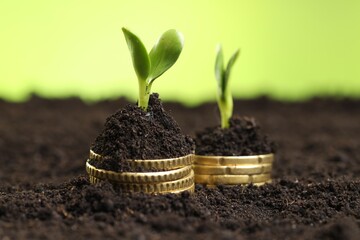 Stacks of coins with green plants on soil against blurred background, closeup. Money growth concept