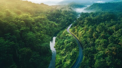 Lush green forest, winding road, river valley.