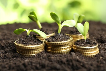 Stacks of coins with green plants on soil against blurred background, closeup. Money growth concept