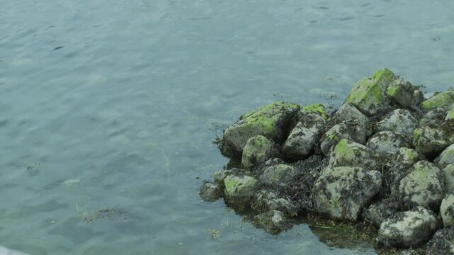 Mossy Rocks in Gentile Ocean Waves