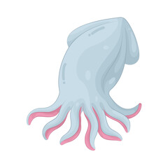 Illustration of squid 