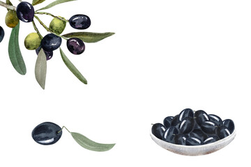 Olive berries in a white plate, olive branches with berries and leaves, watercolor illustration. Hand drawn watercolor clipart of olive berries in a plate