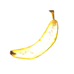 Watercolor illustration of half banana isolated on white background