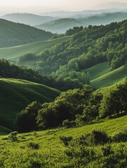 Cattle on green hillside