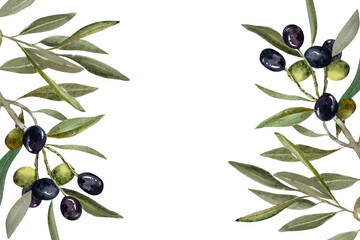 Olive branch with green and black olive berries watercolor illustration.Watercolor frame of olive branches. Hand drawn botanical illustration for design.