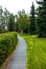 Pathway wooden winding in garden - horizontal