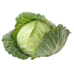 Fototapeta premium Fresh Green Cabbage Isolated on transparent background cutout, Png, Cutout