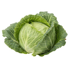 Obraz premium Fresh Green Cabbage Isolated on transparent background cutout, Png, Cutout