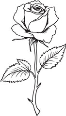 Eternal Rose Timeless Symbol of Love