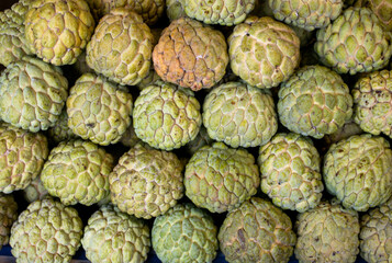 close up of a pile of freshly picked apples
