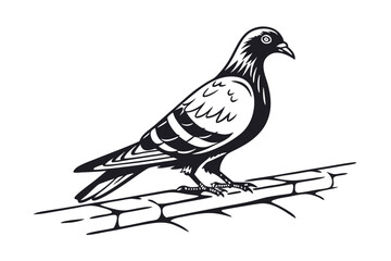Pigeon Line Art Vector Illustration
