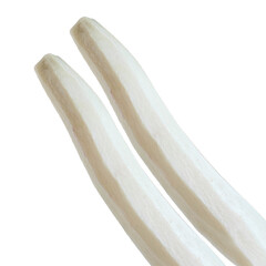 Raw sliced daikon radish path isolated on white Background