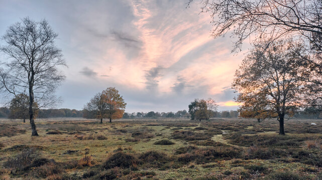 Sunset Over Pingo Het Nuilerveld in Drenthe with Autumn Trees