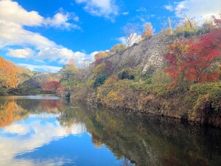 明石城 桜堀	
