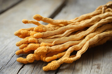 Cordyceps Mushroom Close Up. Mushrooms Supplements and Healthy Mixes