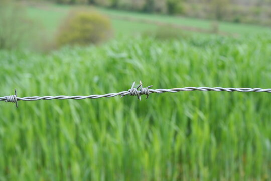 close-up on the barbed section of barbed wire - gros plan sur la partie barbel&eacute;e d'un fil barbel&eacute;