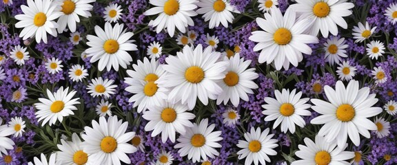 Purple lavender and white daisies hand drawn pattern, soothing, lavender field, herbal, calming