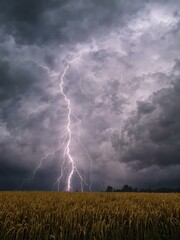 A dramatic illustration of lightning illuminating dark rain clouds over a golden wheat field during a summer storm