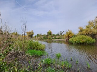 landscape with a river