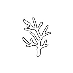 coral outline illustration