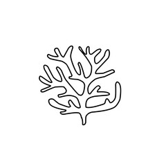 coral outline illustration