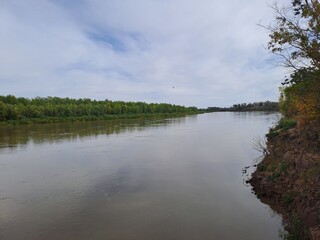 the river in the forest
