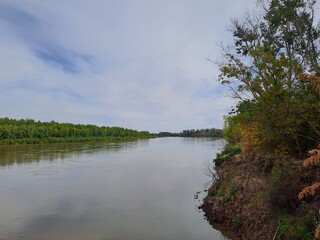 the river in the forest