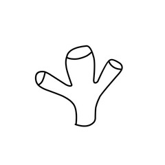 coral outline illustration