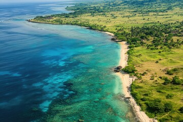 Obraz premium Dreamy Aerial View of a Wild Beach in Bali with Vibrant Blue Waters and Bright Abstract Background
