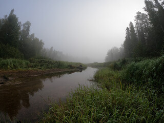 View from campsite of a canoe resting on the shore line on a foggy morning in the Boundary Waters Canoe Area Wilderness (BWCA)