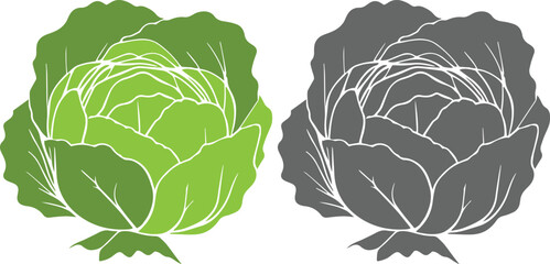 Cabbage vegetable abstract colorful silhouette on white background vector illustration.