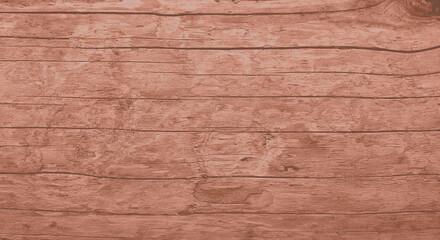 Tree bark texture brown color. Tree bark texture full frame in nature. Monochrome background. Trendy colour 2025.