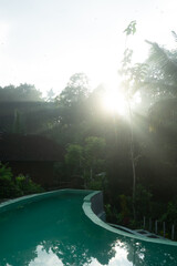 A serene pool surrounded by lush greenery at dawn.