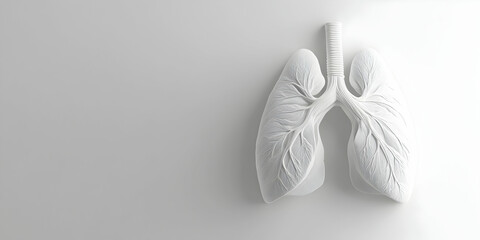 White anatomical lungs illustration on a bright background, minimalist health concept . illustration