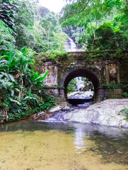 Tijuca National Park, Rio de Janeiro, Brazil