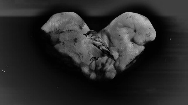 Vintage black and white captivating digital art featuring mesmerizing loop of hands holding a bird