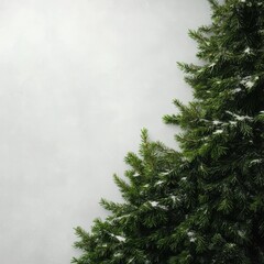 A close-up view of lush evergreen branches against a soft, muted background, evoking a serene and natural atmosphere.