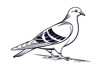 Pigeon Line Art Vector Illustration