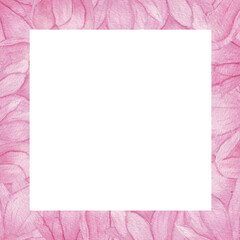 Frame Pink magnolia. Collection magnolia flowers on an isolated white background, watercolor floral design elements.  Flowers set with Magnolia flowers. Pink flower